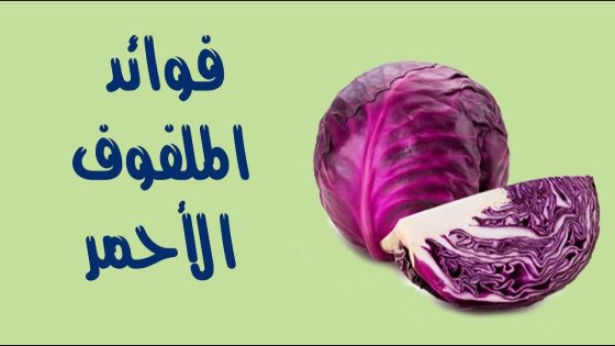 الملفوف الاحمر