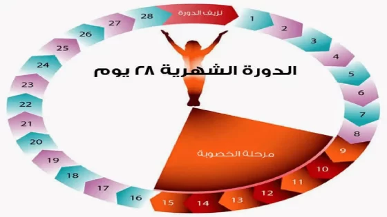 مدة الدورة الشهرية للبنت