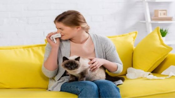 هل حساسية القطط مؤقتة.. وطرق العلاج
