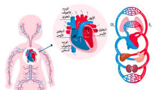 ثقب القلب عند الأطفال